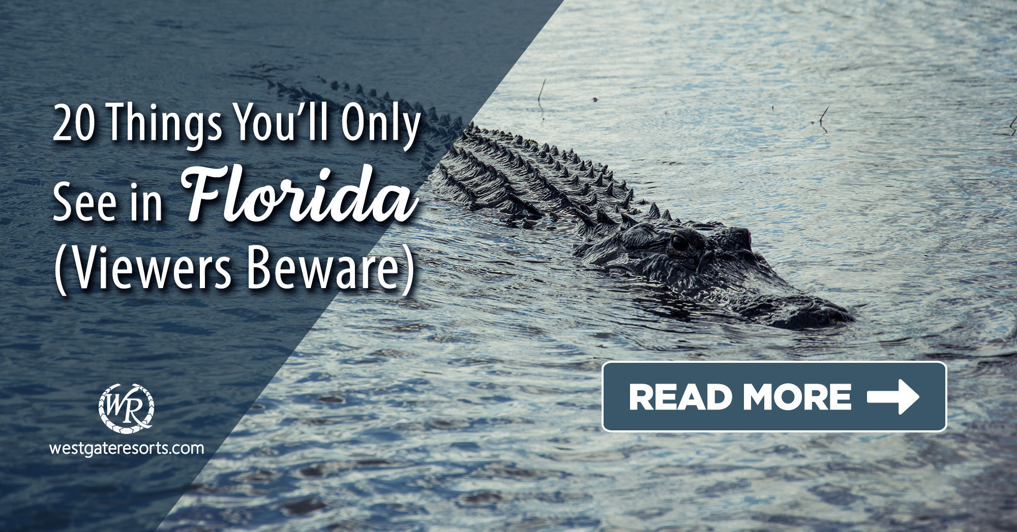 20 Things You’ll Only See in Florida (Viewers Beware) width=
