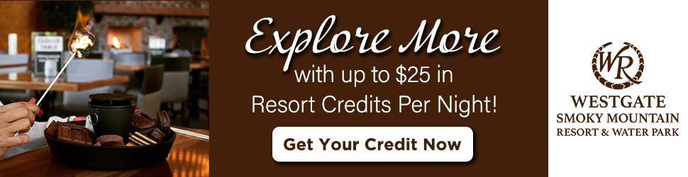 Explore more with up to $25 in Resort Credits per night.