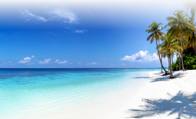 westgate travel club cruise & travel - white sandy beach with palm trees & neon blue water