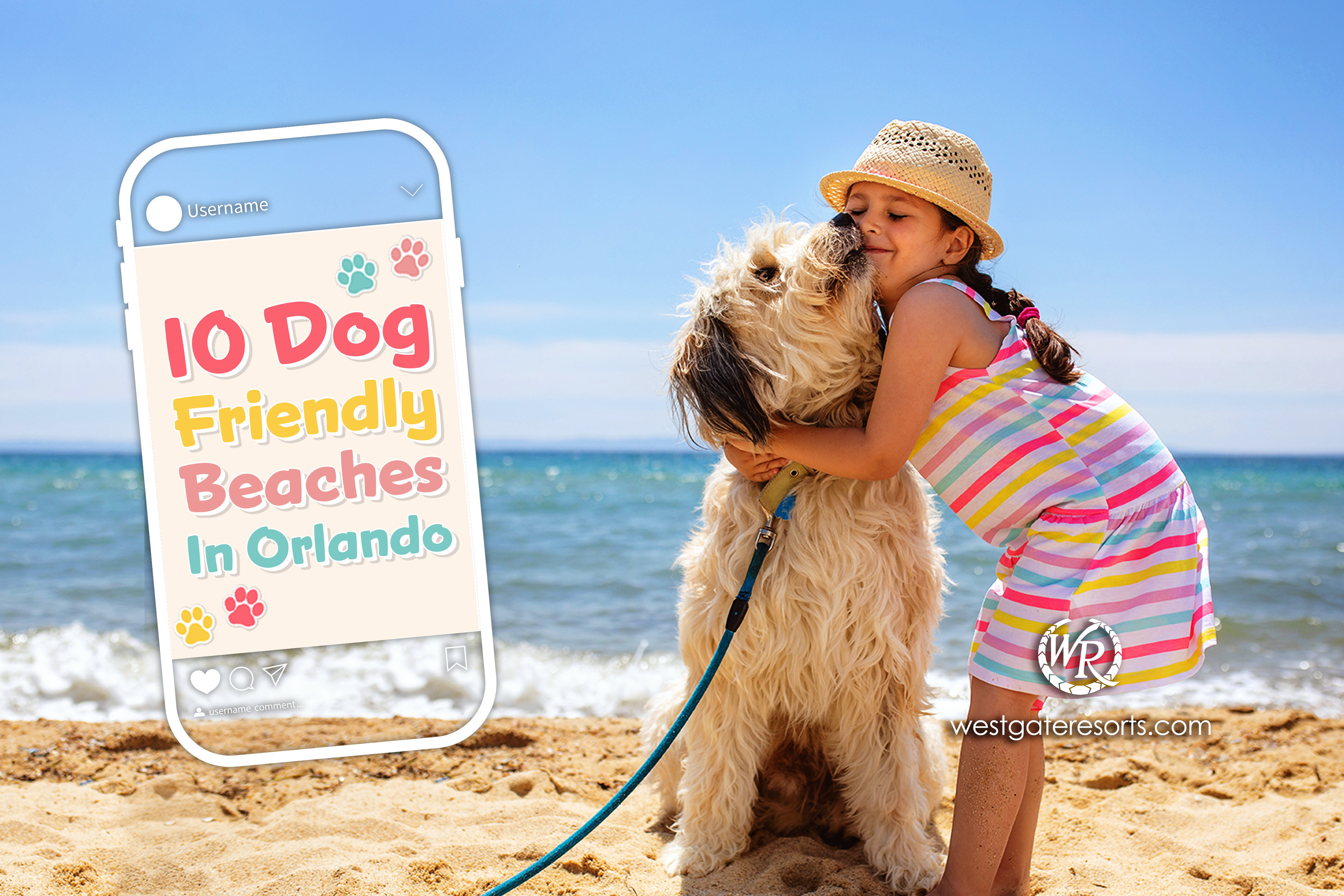 10 playas para perros cerca de Orlando