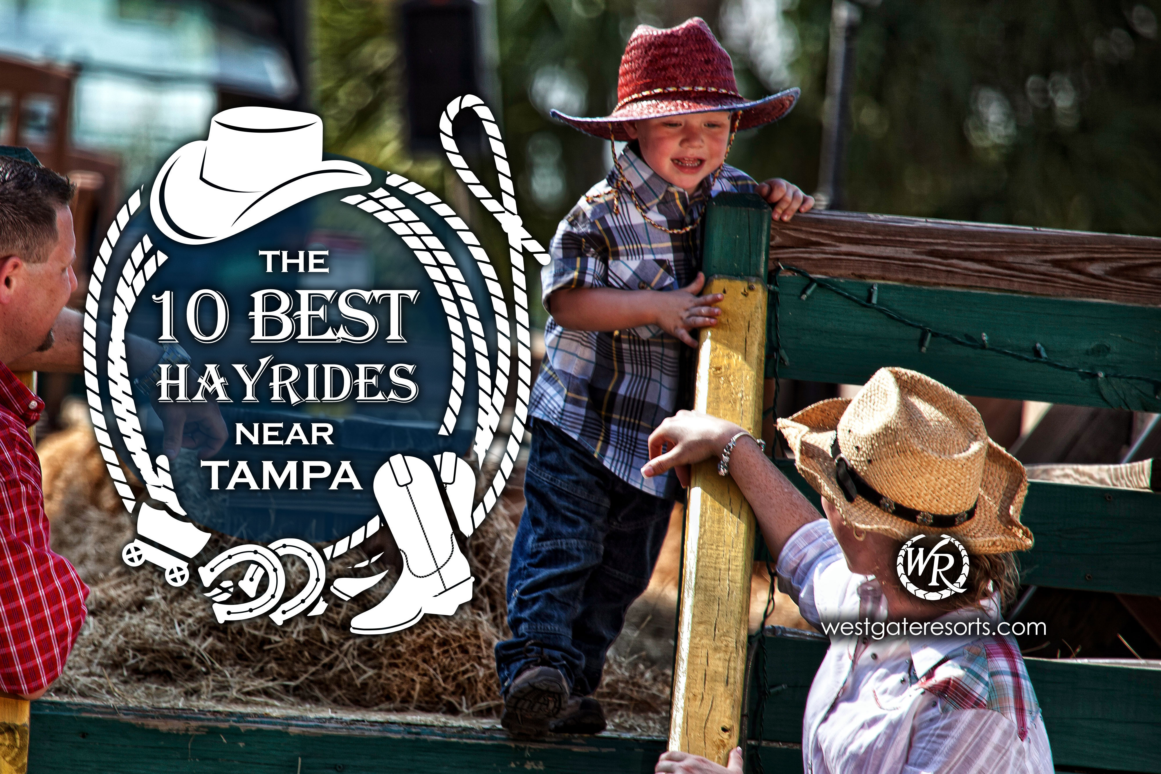 10 Best Hayrides near Tampa