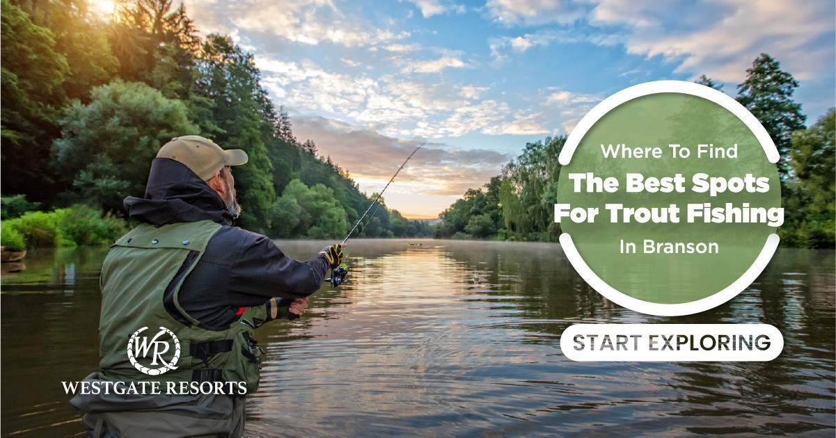 Where to Find the Best Spots For Trout Fishing in Branson: 10 Spots to Try Year Round