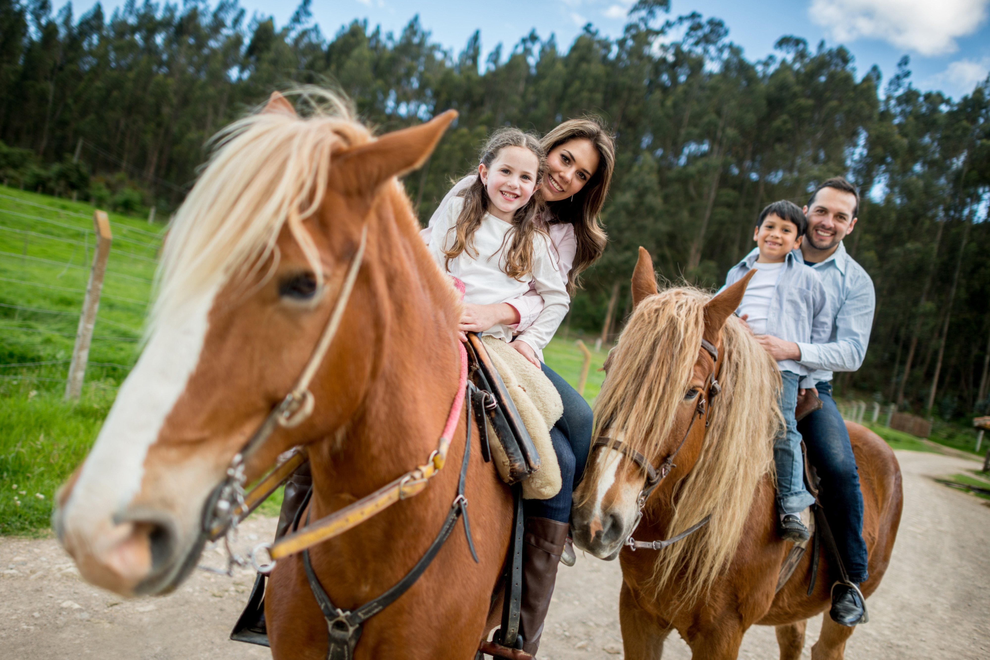 Have a Fantastic Time Horseback Riding in Orlando at These 7 Beautiful Ranches