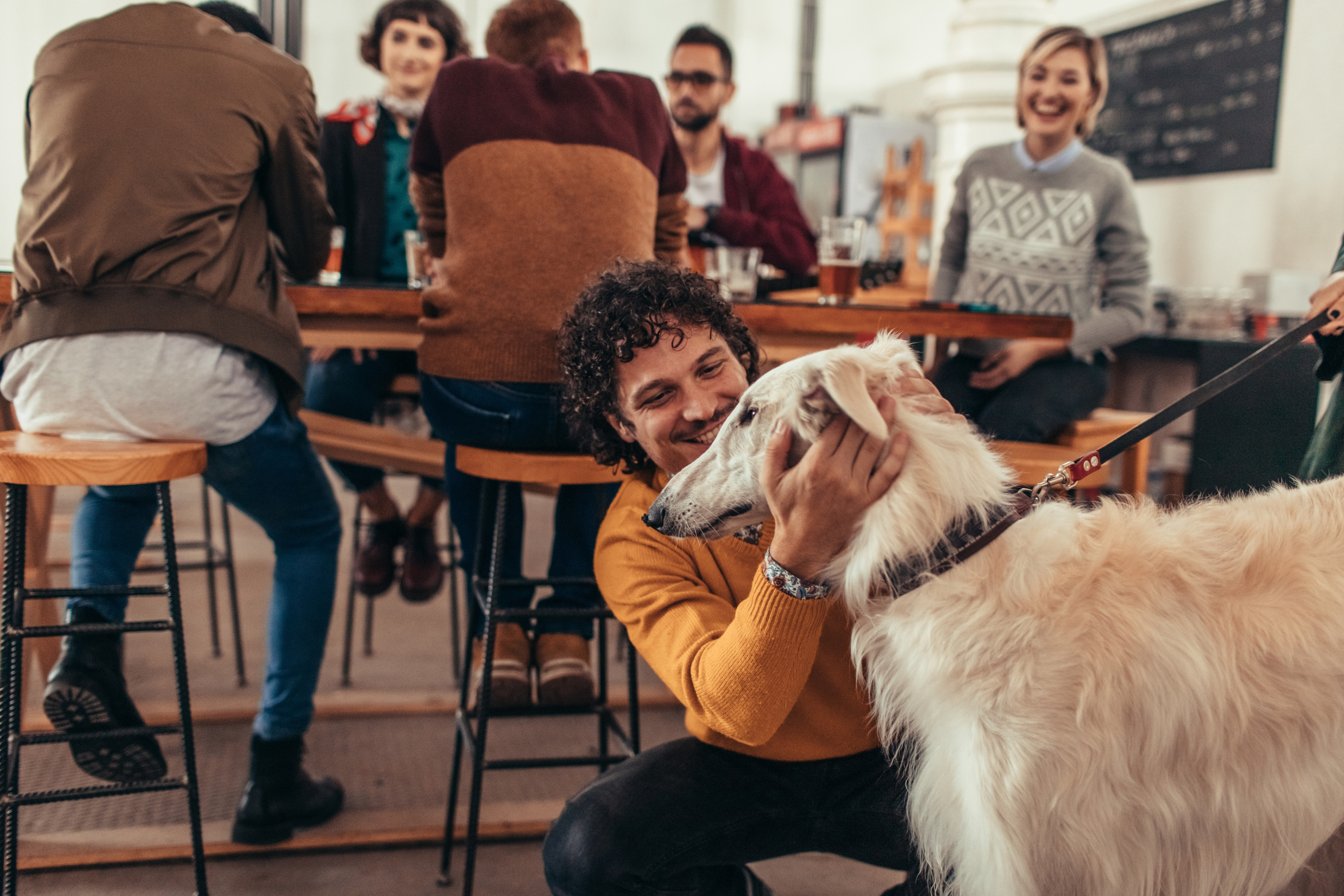 Enjoy a Meal With Your Furry Companion in These 11 Dog-Friendly Restaurants in Branson, MO