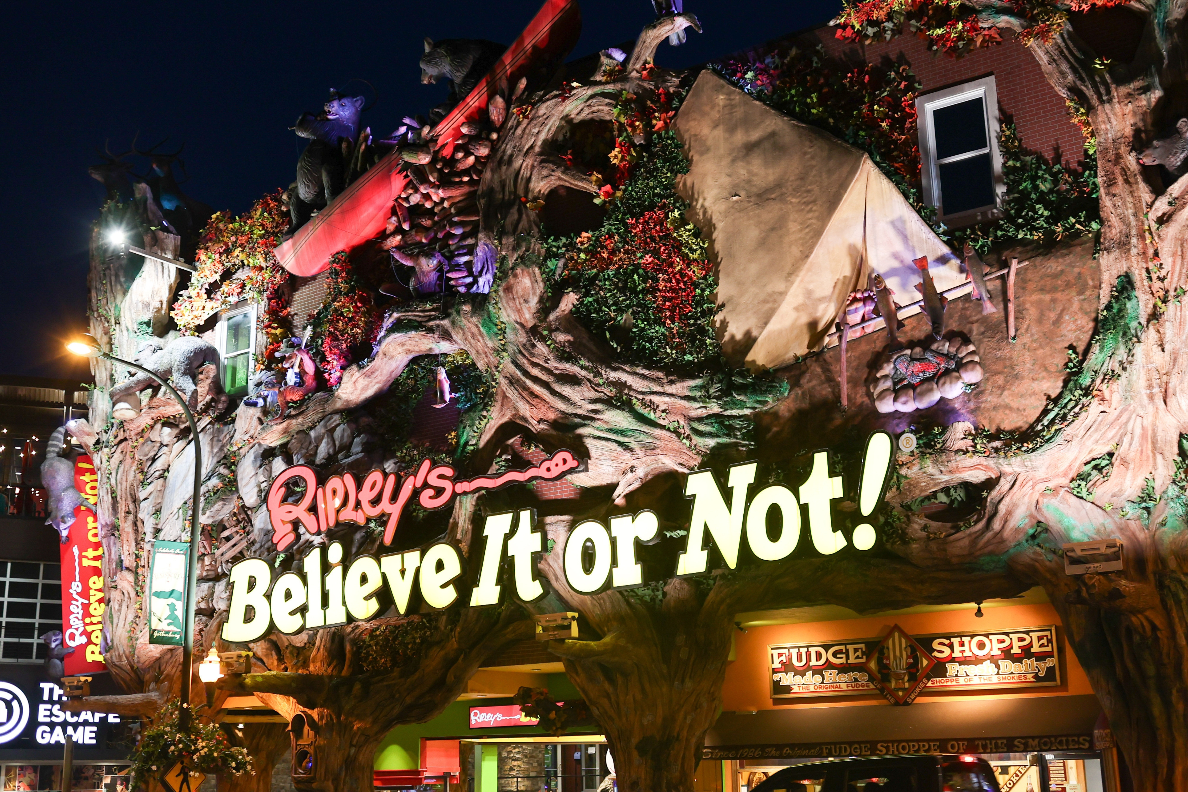 All About Ripley’s Believe It or Not Museum in Branson—Weird Displays, Game Park, and Visitor Inform