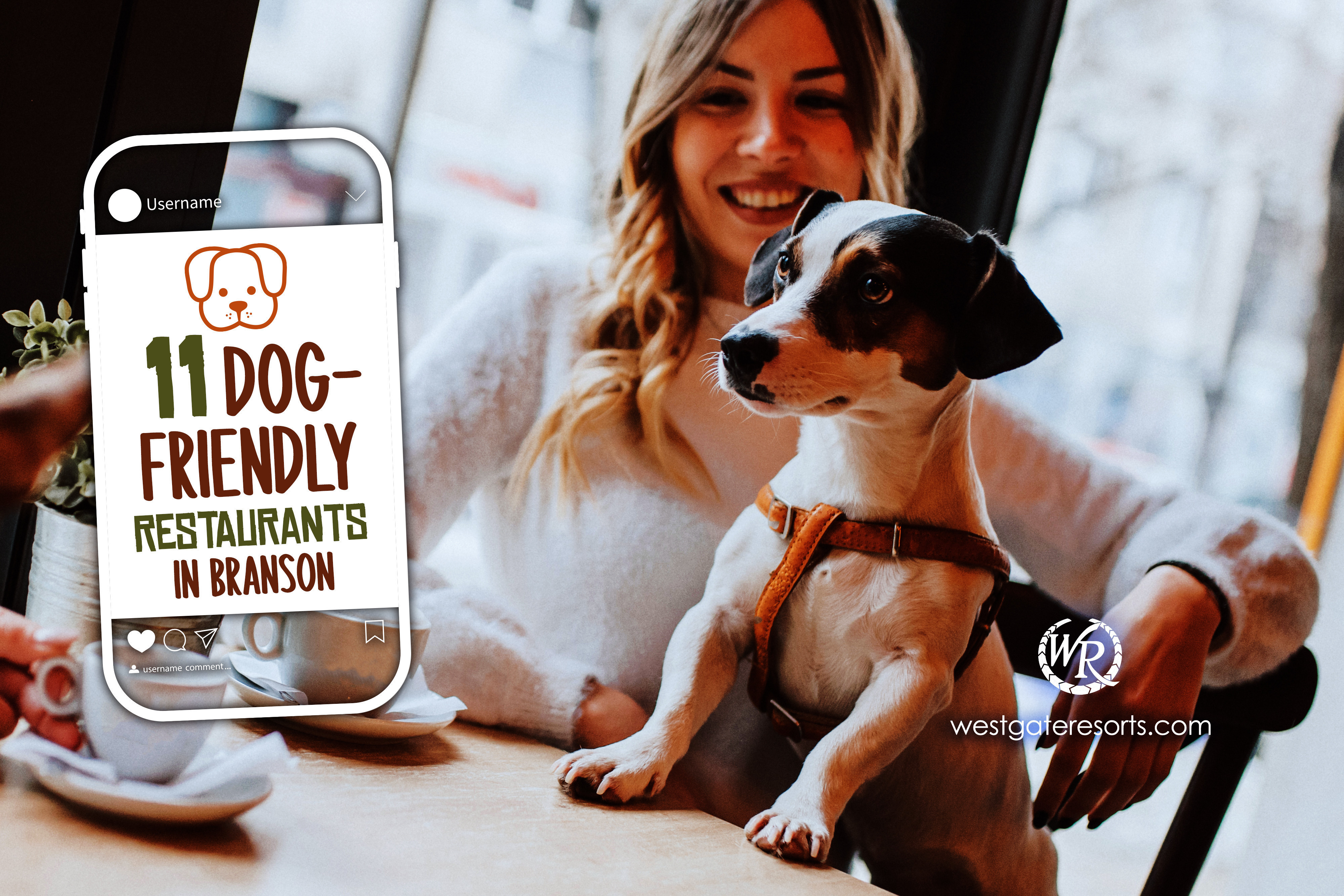 Enjoy a Meal With Your Furry Companion in These 11 Dog-Friendly Restaurants in Branson, MO