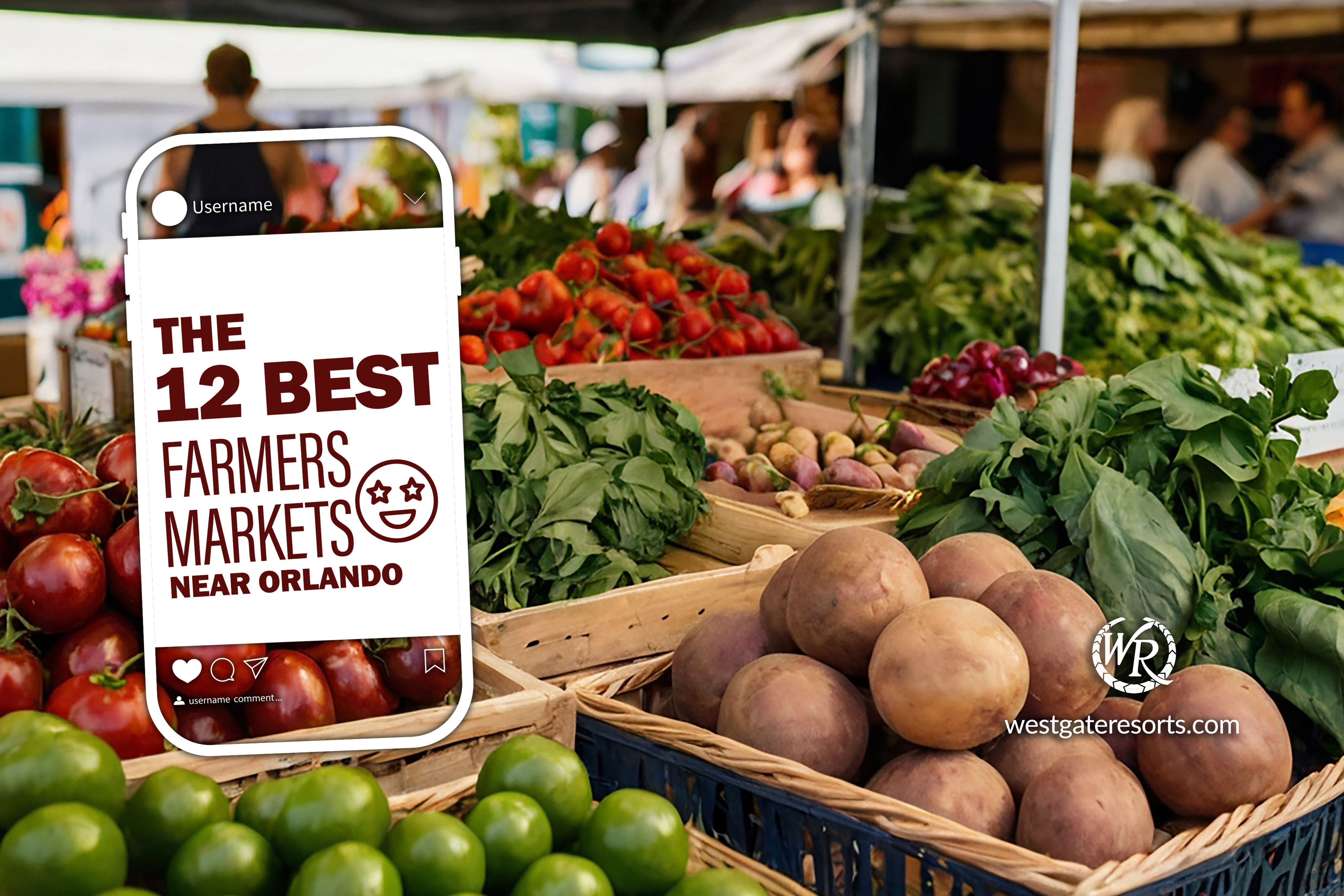 12 Top Farmers Markets Near Orlando 