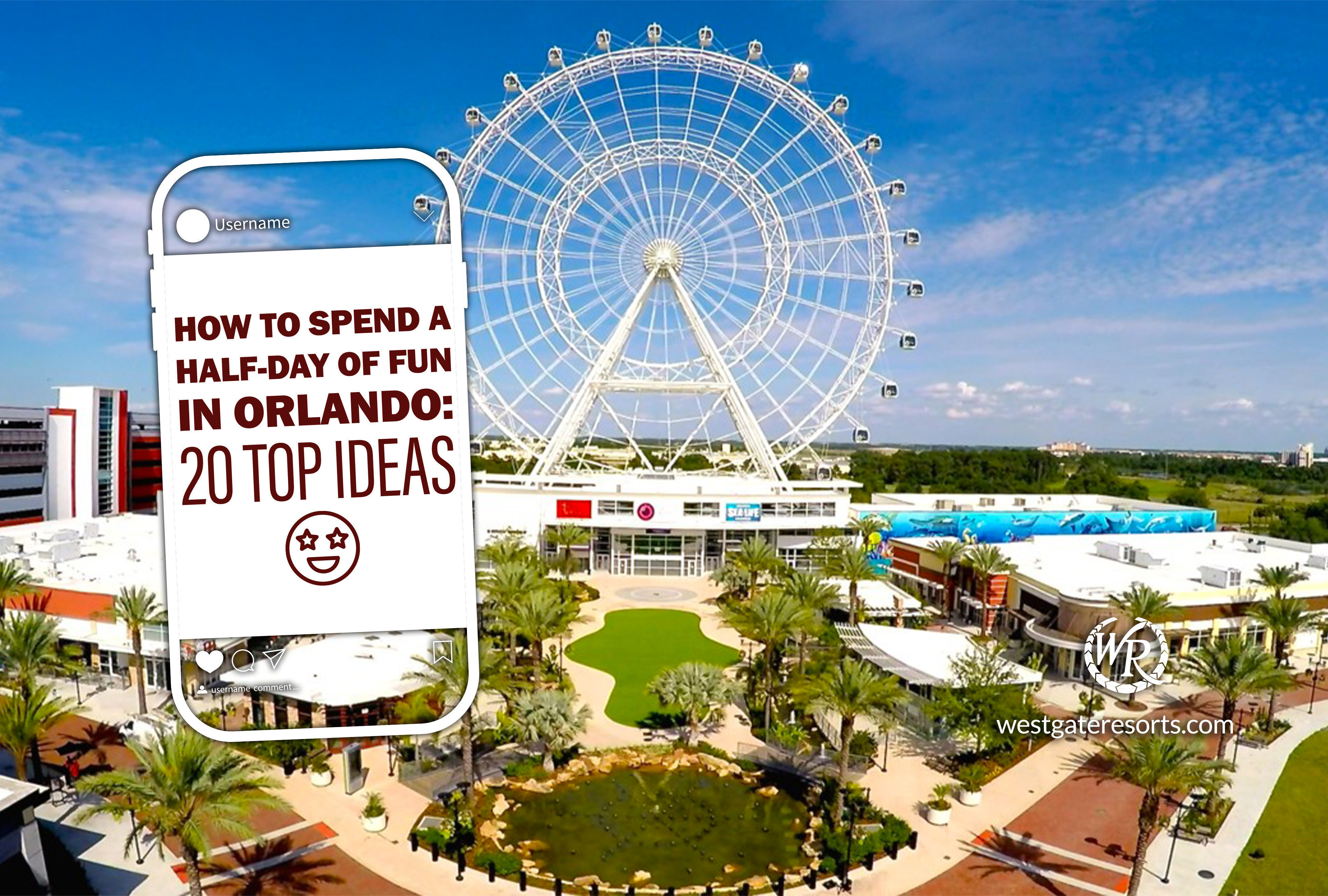 Half-Day Fun in Orlando: The Best Parks and Attractions for a Short Visit!, image size:3953x2667