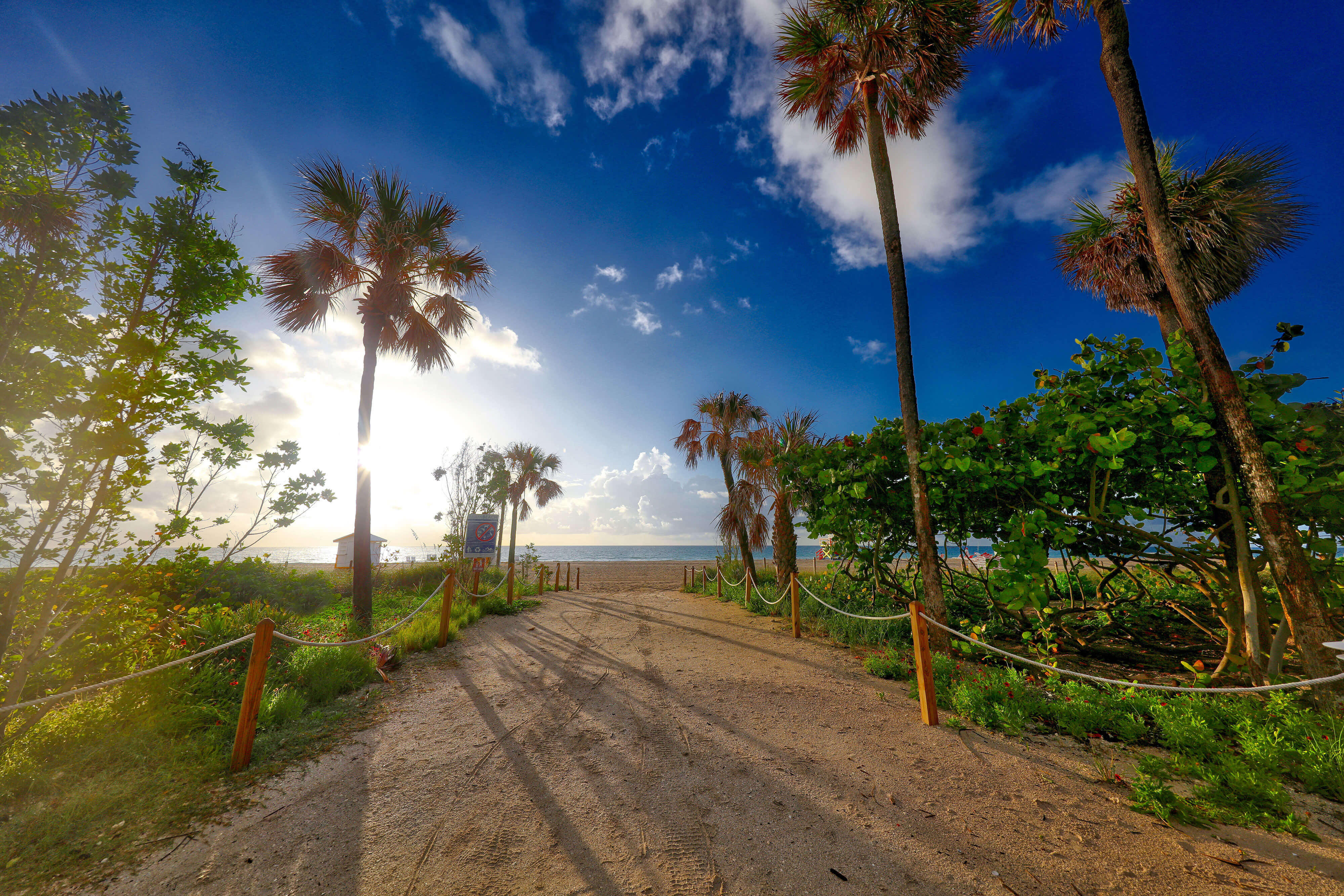 Tropically landscaped pathway from resort to white-sand beach and Atlantic Ocean | Westgate South Beach Oceanfront Resort