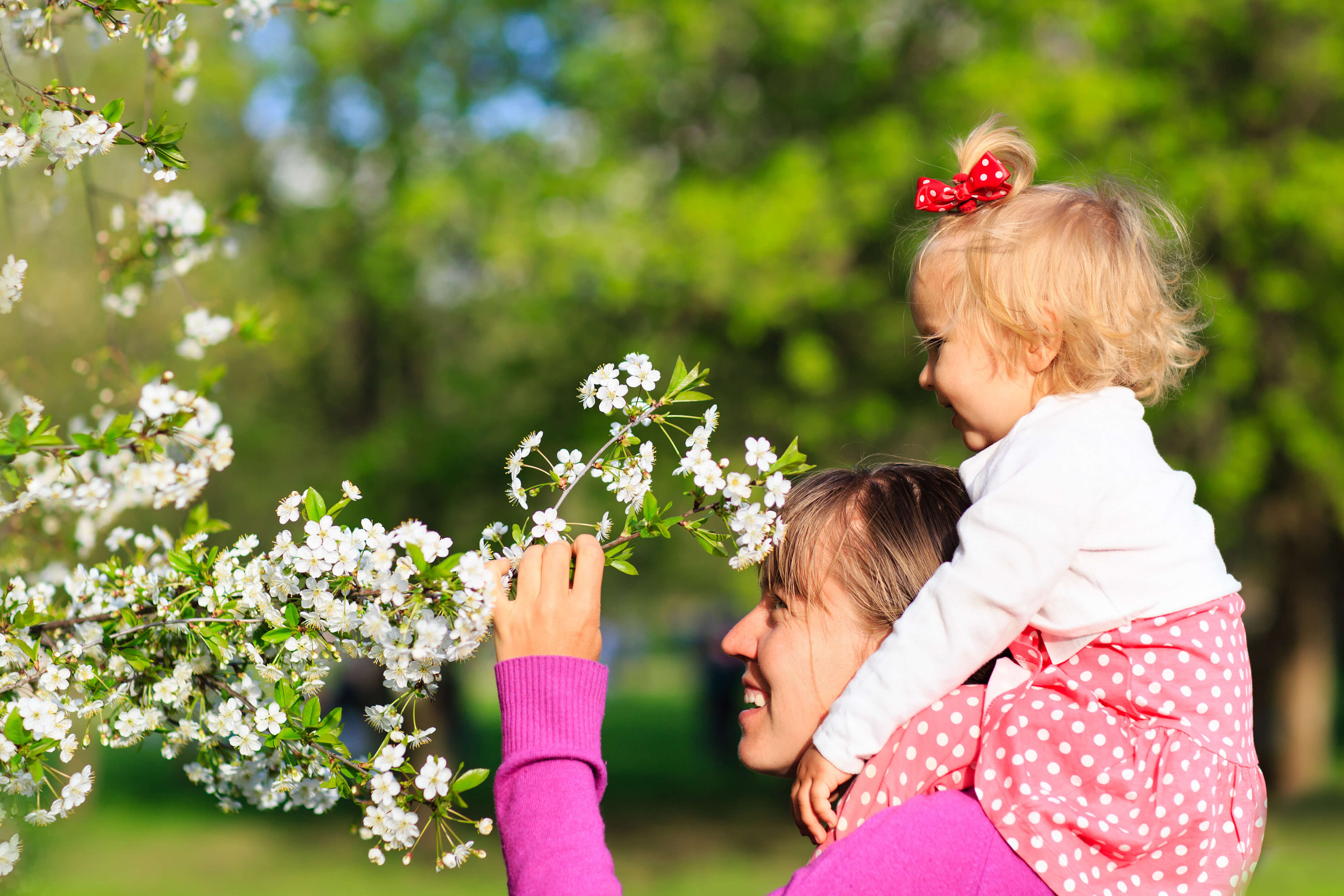 Woman and Child Picking Blossoms Off a Tree | Westgate Resorts